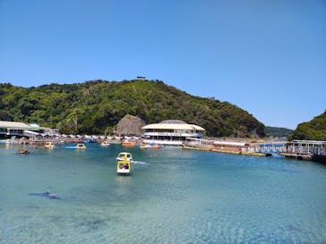 下田海中水族館に投稿された画像（2025/8/15）