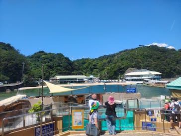 下田海中水族館に投稿された画像（2025/8/15）