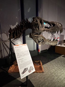 巨大恐竜展2025に投稿された画像（2025/8/16）