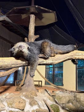 那須サファリパークに投稿された画像（2025/8/16）