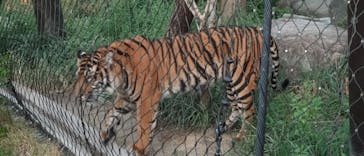 名古屋市東山動植物園に投稿された画像（2025/8/16）