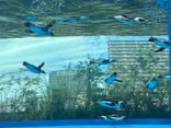サンシャイン水族館に投稿された画像（2025/8/16）