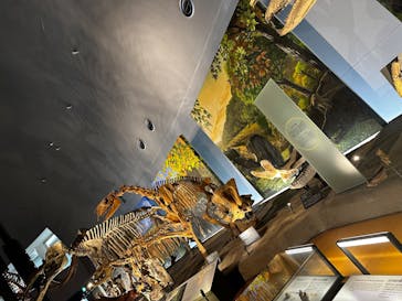 福井県立恐竜博物館に投稿された画像（2025/8/16）