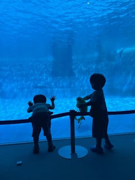 名古屋港水族館に投稿された画像（2025/8/16）