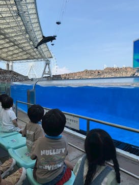 名古屋港水族館に投稿された画像（2025/8/16）