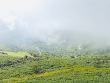 車山高原SKYPARK RESORTに投稿された画像（2025/8/16）