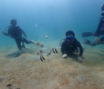 シーガーデン ダイビングスクールに投稿された画像（2025/8/16）