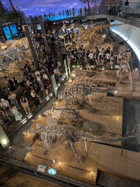 福井県立恐竜博物館に投稿された画像（2025/8/16）