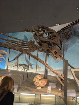 福井県立恐竜博物館に投稿された画像（2025/8/16）