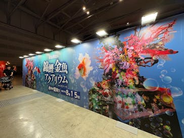 錦鯉・金魚アクアリウム in ときメッセに投稿された画像（2025/8/16）