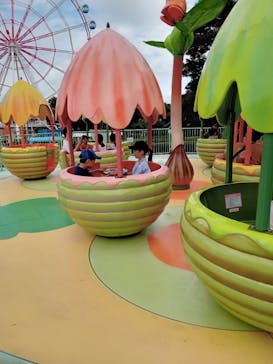 渋川スカイランドパークに投稿された画像（2025/8/16）