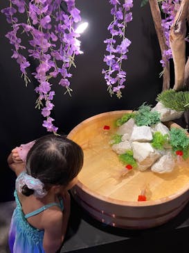 錦鯉・金魚アクアリウム in ときメッセに投稿された画像（2025/8/16）