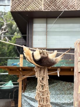 伊豆アニマルキングダムに投稿された画像（2025/8/16）