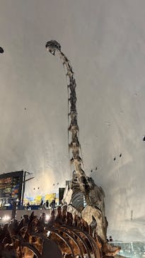 福井県立恐竜博物館に投稿された画像（2025/8/16）