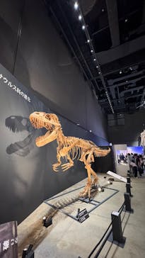福井県立恐竜博物館に投稿された画像（2025/8/16）