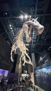 福井県立恐竜博物館に投稿された画像（2025/8/16）