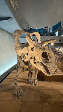 福井県立恐竜博物館に投稿された画像（2025/8/16）