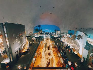 福井県立恐竜博物館に投稿された画像（2025/8/16）