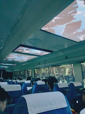 福井県立恐竜博物館に投稿された画像（2025/8/16）