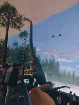 福井県立恐竜博物館に投稿された画像（2025/8/16）