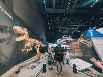 福井県立恐竜博物館に投稿された画像（2025/8/16）