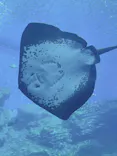 仙台うみの杜水族館に投稿された画像（2025/8/16）