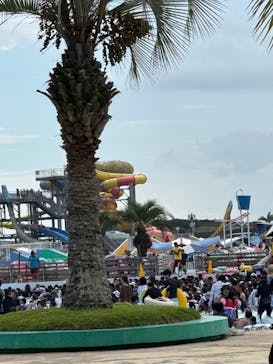 蓮沼ウォーターガーデンに投稿された画像（2025/8/16）