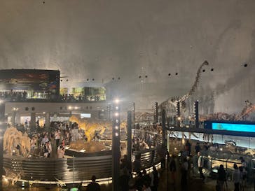 福井県立恐竜博物館に投稿された画像（2025/8/16）