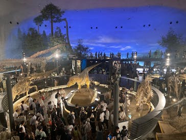 福井県立恐竜博物館に投稿された画像（2025/8/16）