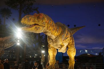 福井県立恐竜博物館に投稿された画像（2025/8/16）