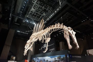 福井県立恐竜博物館に投稿された画像（2025/8/16）