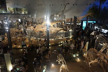 福井県立恐竜博物館に投稿された画像（2025/8/16）