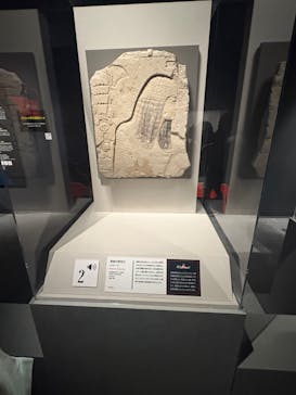 ブルックリン博物館所蔵　特別展　古代エジプト（豊田会場）に投稿された画像（2025/8/16）