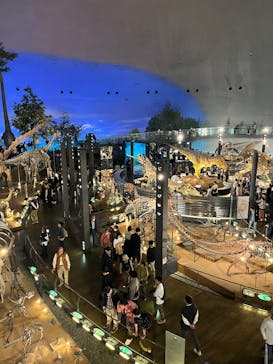 福井県立恐竜博物館に投稿された画像（2025/8/16）