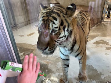 天王寺動物園に投稿された画像（2025/8/16）