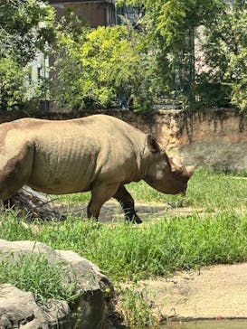 天王寺動物園に投稿された画像（2025/8/16）