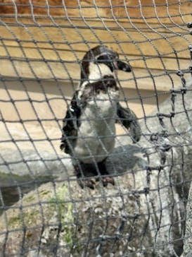 天王寺動物園に投稿された画像（2025/8/16）