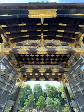 元離宮二条城に投稿された画像（2025/8/16）