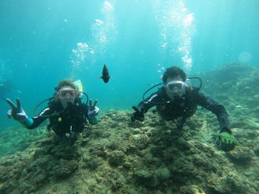 武藤潜水に投稿された画像（2025/8/16）