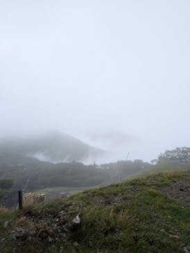 びわ湖バレイに投稿された画像（2025/8/16）