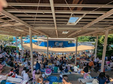 日本モンキーパークに投稿された画像（2025/8/16）