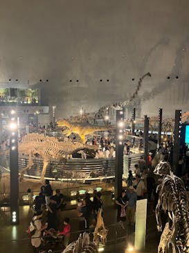 福井県立恐竜博物館に投稿された画像（2025/8/16）