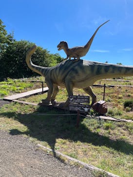 安比高原に投稿された画像（2025/8/16）