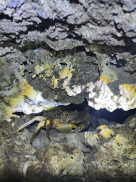  マリンショップHAPPYに投稿された画像（2025/8/16）