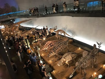 福井県立恐竜博物館に投稿された画像（2025/8/16）