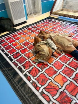 伊豆・三津シーパラダイスに投稿された画像（2025/8/16）