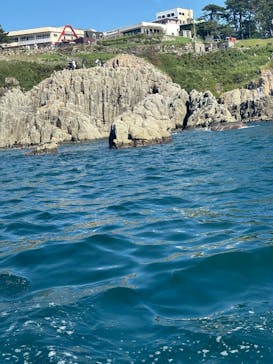 東尋坊観光遊覧船株式会社に投稿された画像（2025/8/16）