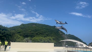 太地町立くじらの博物館に投稿された画像（2025/8/16）