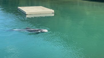 太地町立くじらの博物館に投稿された画像（2025/8/16）