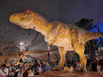 福井県立恐竜博物館に投稿された画像（2025/8/16）